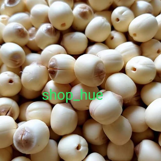 Sen Huế chính hiệu Hút chân không 1kg | Shopee Việt Nam