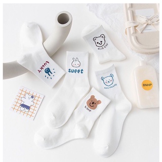 Tất Cute Cổ Cao Nam Nữ Trơn Trắng Đen Nhiều Màu Thể Thao Hình Gấu Thỏ T02