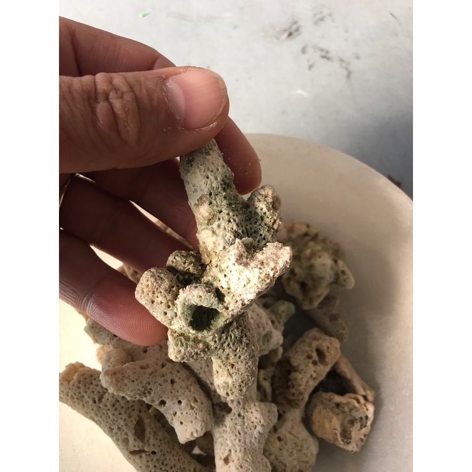 1kg San hô biển lọc nước và trang trí bể cá cảnh ,tiểu cảnh.