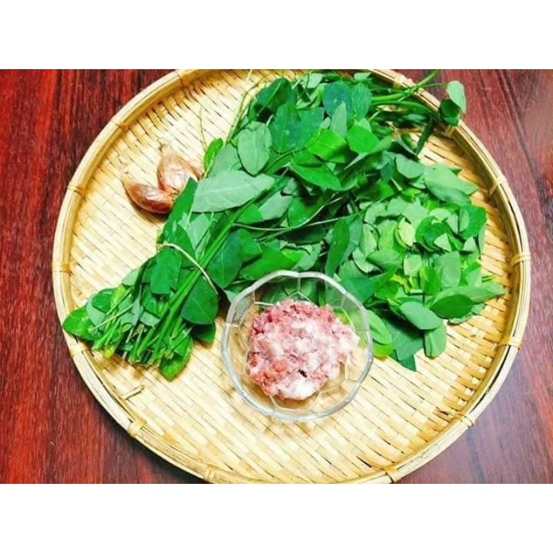 🍄💥hạt giống rau ngót ❤️ Lâu Năm❤️❤️🍄 dễ trồng chất lượng cao