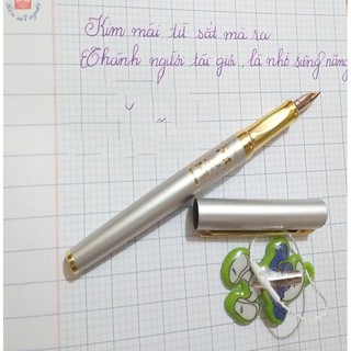 [Tặng 1 ngòi] Bút máy luyện viết chữ đẹp TRẠNG NGUYÊN 042 -nét thanh đậm, hoa văn đẹp, sang- Caliminmax-vietmay,butmuc