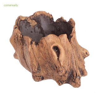 Chậu trồng cây mọng nước bonsai bằng xi măng giả gỗ trang trí đẹp mắt
