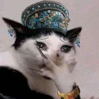 alenapham