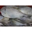 cá bò rim mè đặc sản đà nẵng 200gr