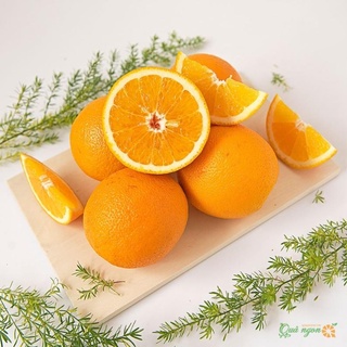Cây cam Vinh quả to mọng nước rất sai quả, cây giống khoẻ mạnh dễ trồng(ảnh thật hình cuối) .