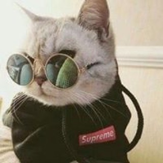 mrblaxxy