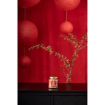 Hộp quà tặng trung thu Nhụy Hoa Nghệ Tây Saffron Jahan 0.5Gr — ảnh 6