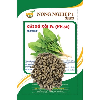 Hạt giống rau cải bó xôi .