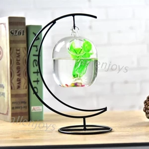 Bình thủy tinh trong suốt đựng hoa treo hình bể cá