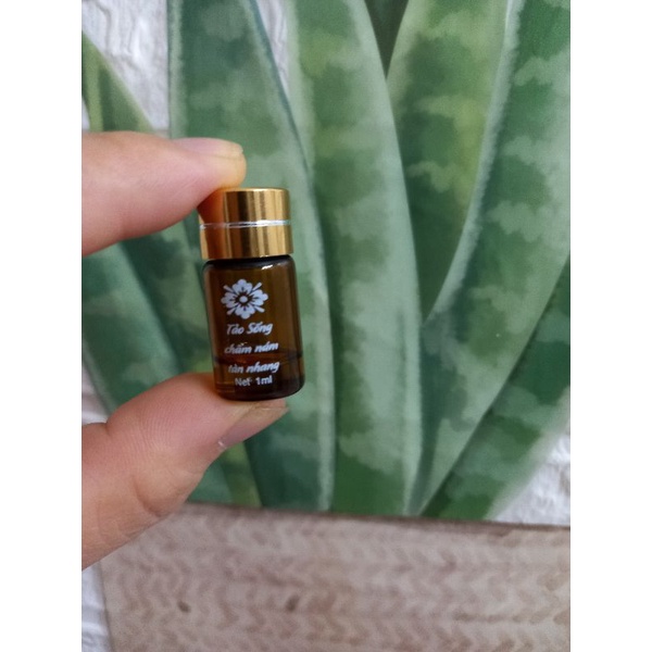 Tảo sống chấm nám, tàn nhang.