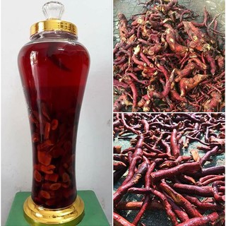 1KG Cây Mú Từn ( CÙ Boong Nậu) bổ thận tráng dương - Hàng công ty Thảo Dược Việt