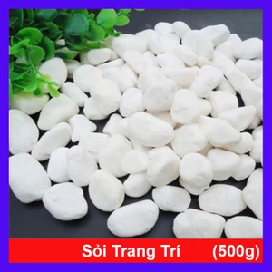 Đá sỏi trang trí chậu cây (Loại Vừa) - 500g