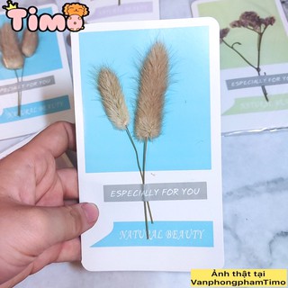 Thiệp đẹp chúc mừng sinh nhật thiệp hoa khô