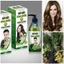 Dầu Gội Thảo Dược 100% từ thiên nhiên giảm rụng tóc sach gầu phù hợp mọi da đầu -Hàng chính hãng-cao cấp