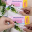 Nước Muối Sinh Lý Physiodose Pháp Tép Hồng Có Tem Chính Hãng