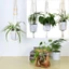 PWSSEND Giỏ Treo Macrame Móc Trang Trí Nhà Chậu Hoa Giá Đỡ