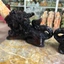 Cặp Kỳ Lân (Kì Lân) Ngậm Ngà Đá Đúc Phong Thuỷ, Sang Trọng, May Mắn, Tài Lộc Đặt Phòng Khách, Bàn Làm Việc - cao 43.5cm
