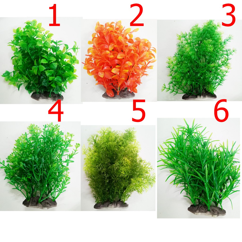 Cây Trang Trí Bể Cá Size Lớn (Khoảng 20cm x 17cm Mỗi Cây) - Đồ ...