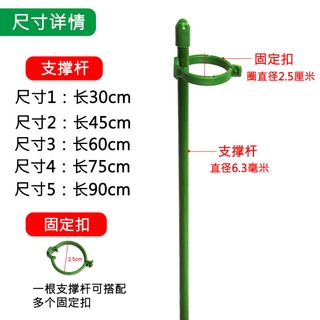 Giá Đỡ Hỗ Trợ Cây Leo Chống Đứt Tiện Dụng Cho Sân Vườn / Ngoài Trời