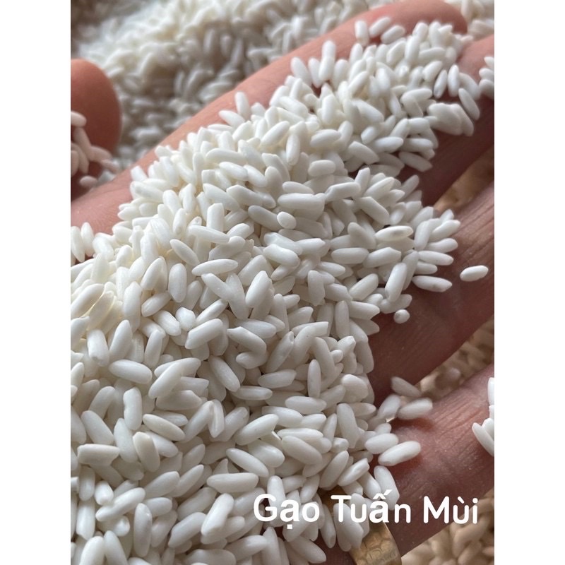 Nếp Ngỗng Dẻo Thơm (Bao 5 Ký)