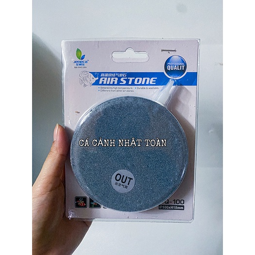 SỦI DĨA OXY BỂ CÁ CẢNH 4CM 6CM 8CM