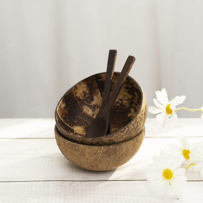 Bát gáo Dừa để mộc mặt ngoài (Chén gáo dừa mộc) cao cấp, ăn Salad, hoa quả dầm | ongtre® (Vietnam)