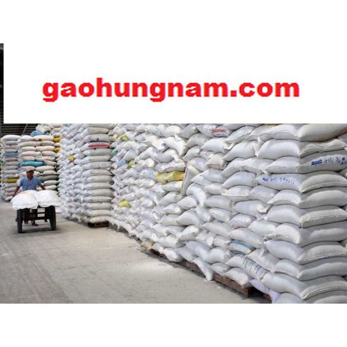 Gạo 504 nở xốp - 5kg | Shopee Việt Nam