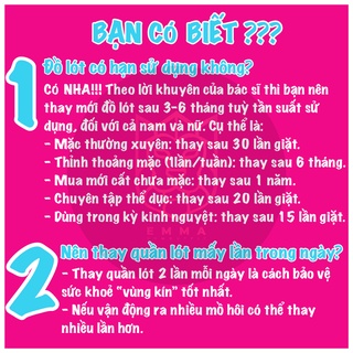Quần lót nữ ren lưới siêu mềm, thiết kế bèo xếp tầng tiểu thư sang chảnh sexy
