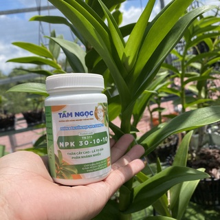 NPK 30-10-10+TE TN Hũ 100g | Vua Bật Chồi - Vọt Đọt