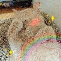 _.maiphuongg._