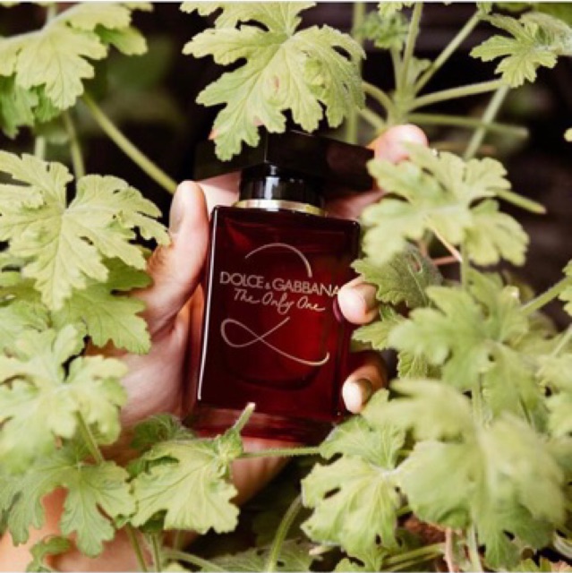 Nước Hoa Dolce Gabbana The Only One Fullseal 100Ml Edp | Shopee Việt Nam