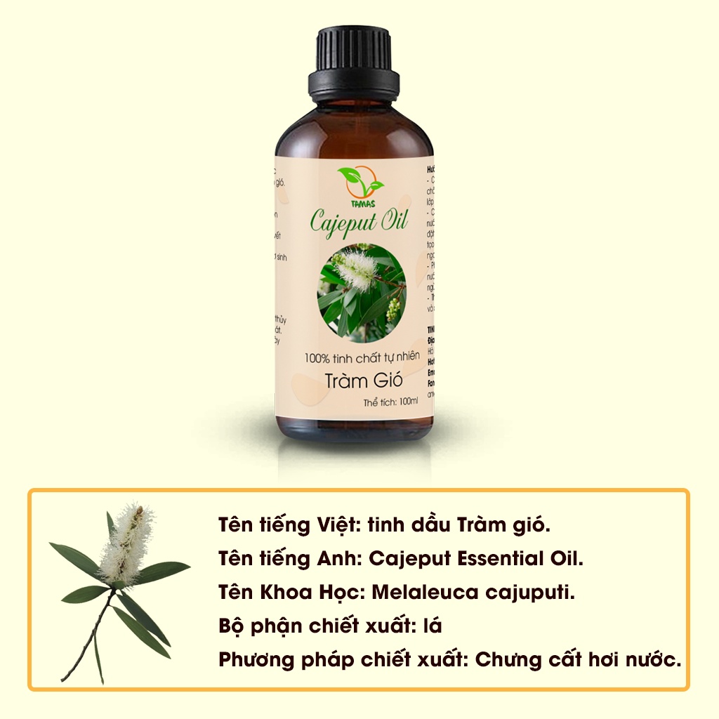 Ảnh Tinh dầu Tràm gió 100ml/50ml kháng khuẩn, giữ ấm 2