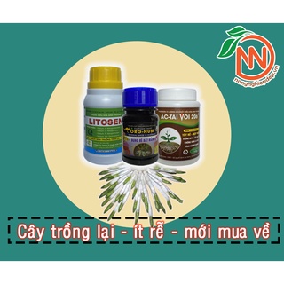 Bộ Kích Rễ NND 3 - Org Hum - Litosen - AC Tai Voi 206