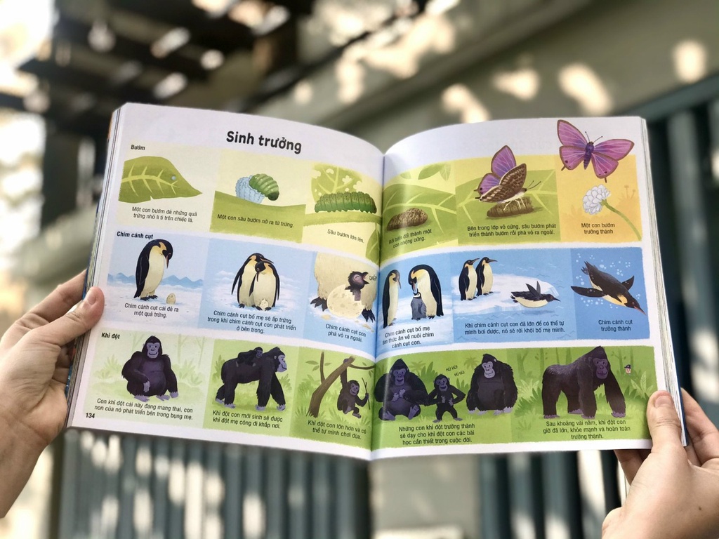 Mô tả Sách - Bách khoa tri thức cho trẻ em Usborne - 5