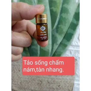 Tảo sống chấm nám, tàn nhang.