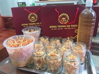 Đông trùng hạ thảo ngâm mật ong HandMade