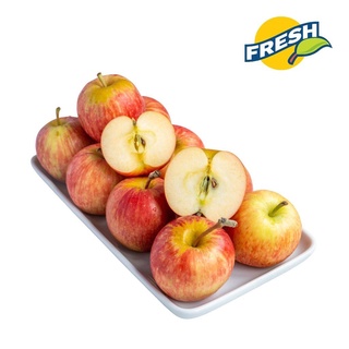 [ GIAO HỎA TỐC HCM] [ JENNY FRUIT ] Táo túi Nam Phi Bịch 3kg - 1,5kg - 1kg