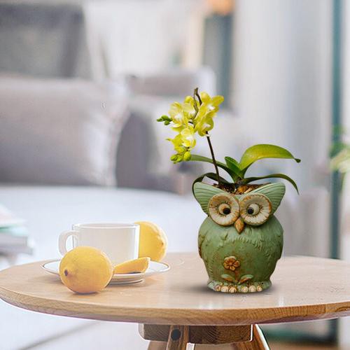 Chậu cây cảnh bằng sứ hình chim cú