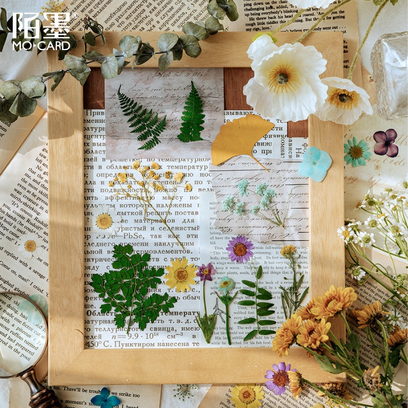 Sticker hoa khô làm từ hoa thật vintage dán sổ retro mẫu hoa lá HD113-K61 DIY Crafts, Scrapbook, Journal, Thủ công