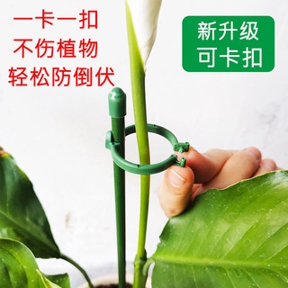 Giá Đỡ Hỗ Trợ Cây Leo Chống Đứt Tiện Dụng Cho Sân Vườn / Ngoài Trời