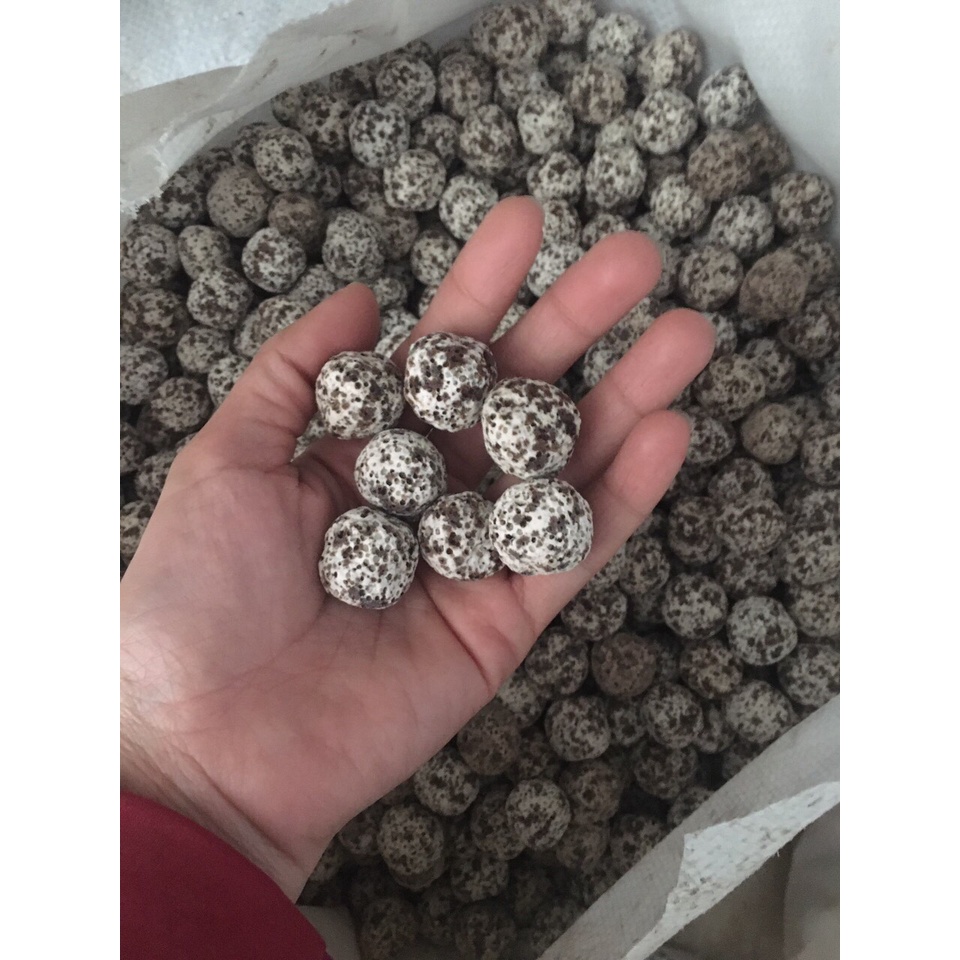 1kg sứ bi tiêu lọc nước bể cá chất lượng cao nhập khẩu Đài Loan.