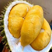 yenyenyen96