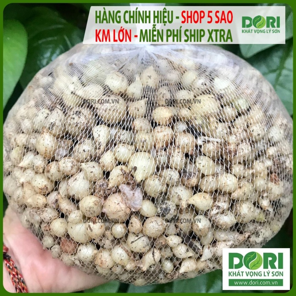Củ nén hành tăm - Dori Thơm - 1kg - Gia vị Việt Nam | Shopee Việt Nam