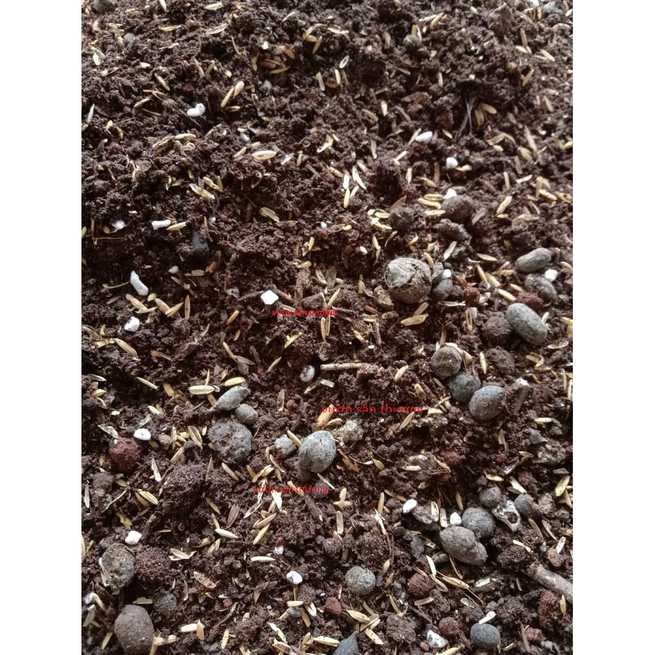 5kg Đất trồng chuyên Rau, Củ, Qủa, Hoa, Trộn Sẵn Đất Đỏ, Tro, Compost, Phân Dê,.. Trồng Ngay