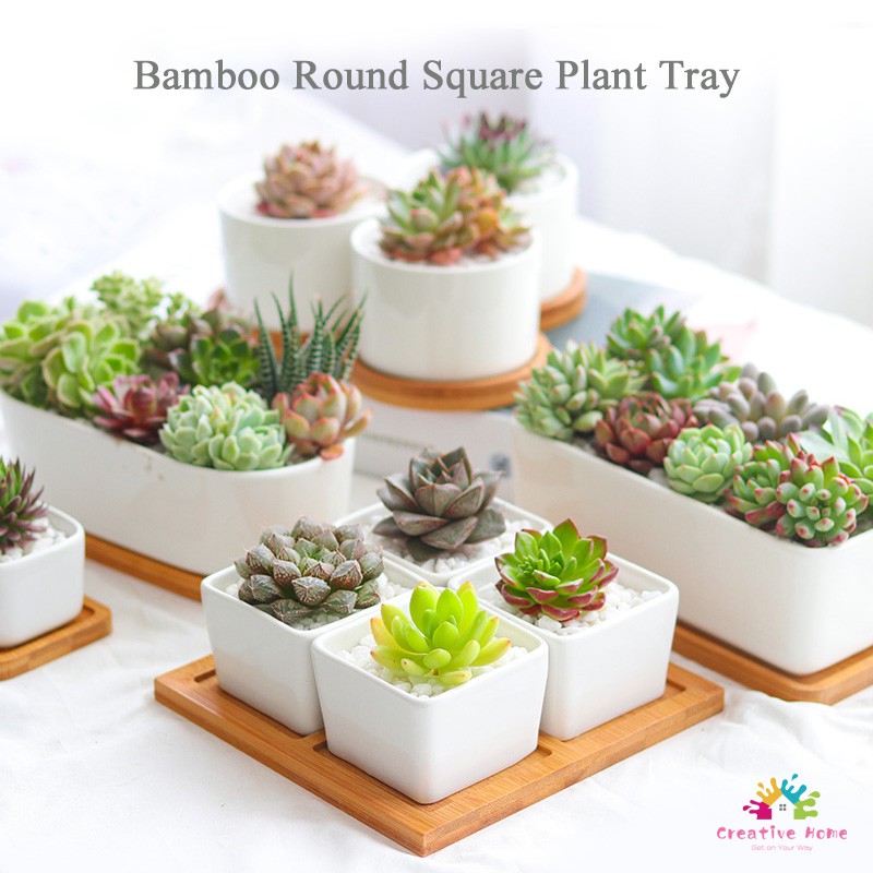 CH Bamboo Round Square Plant Tray Coaster Bowls Plates Succulents Pots ...