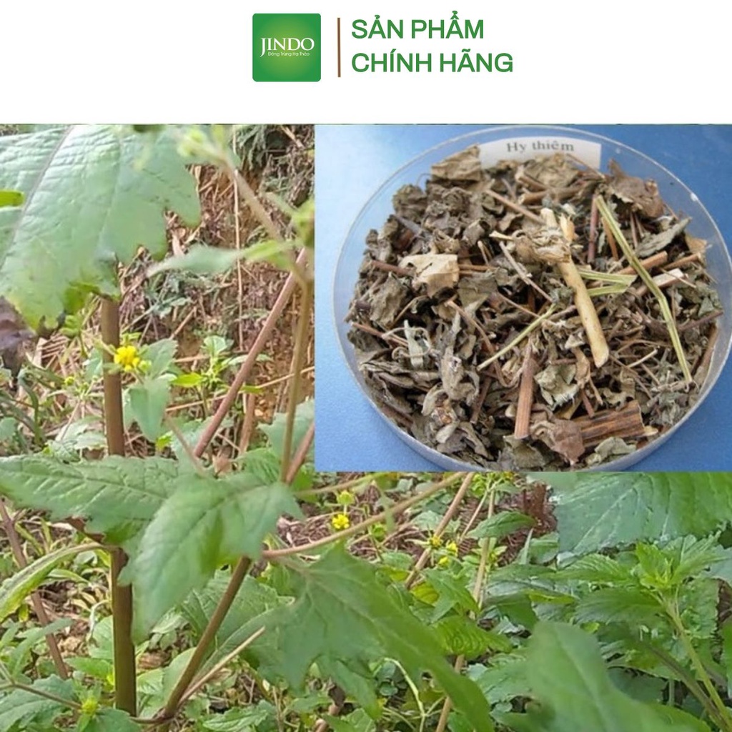 Cây hy thiêm khô JINDO 1kg tác dụng hỗ trợ xương khớp