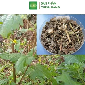 Cây hy thiêm khô JINDO 1kg tác dụng hỗ trợ xương khớp