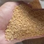 1kg kê bóng vàng (hạt kê vàng) - Thức ăn: Yến Phụng • Sóc • Gà Kiểng • Cu Gáy