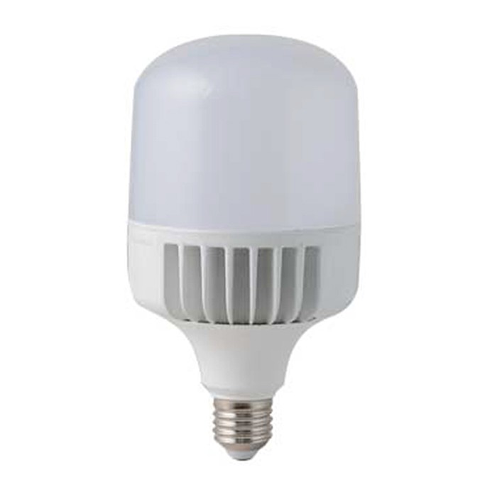 Ảnh Bóng đèn LED TRỤ 50W Rạng Đông 1