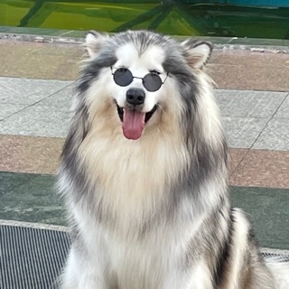 thuccngan